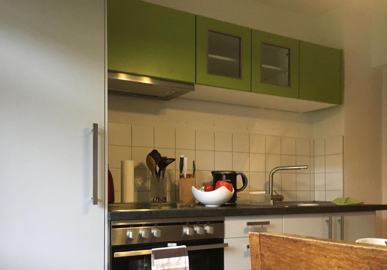 Apartamento Auf Der Zschopau-Insel Exterior foto